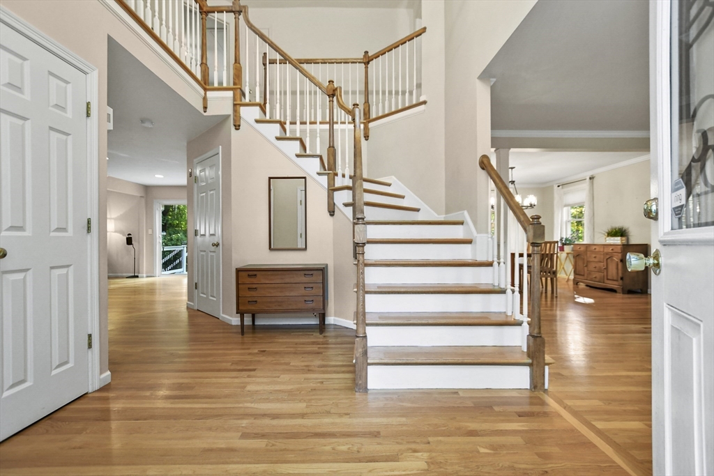 35 Albert Ray Dr