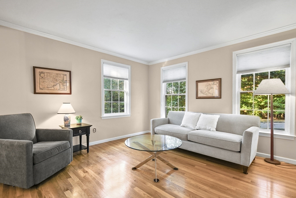 35 Albert Ray Dr
