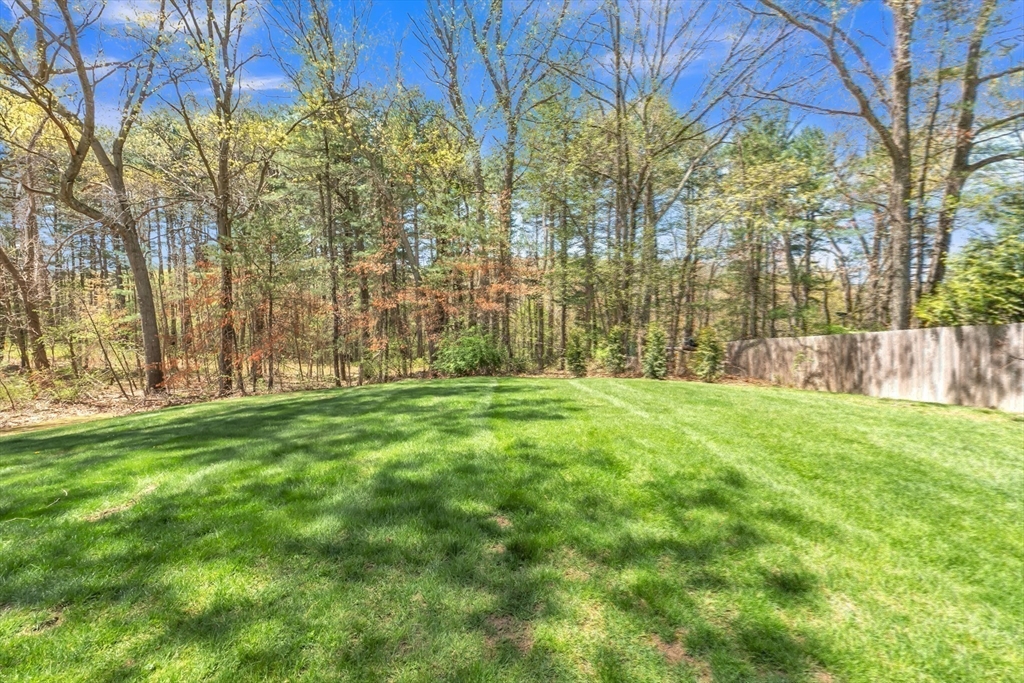 86 Angelica Drive