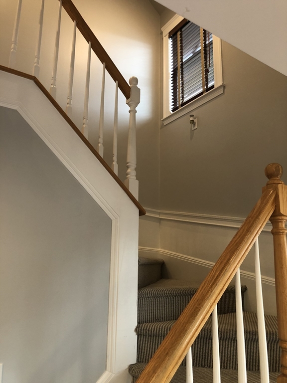 36 Gerald Rd # 3