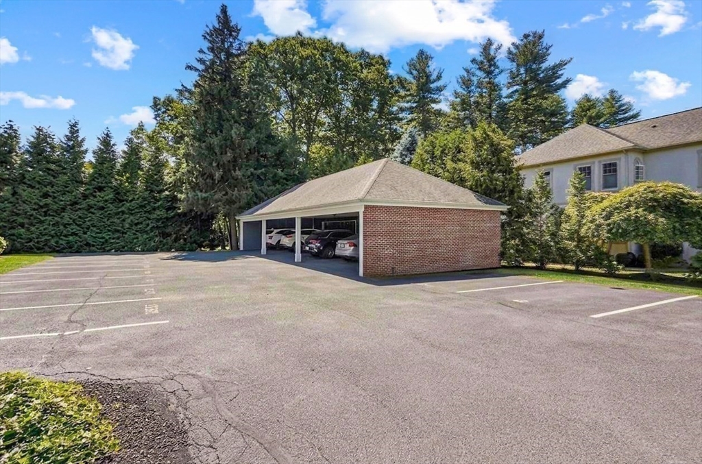 221 Worcester Lane # 6