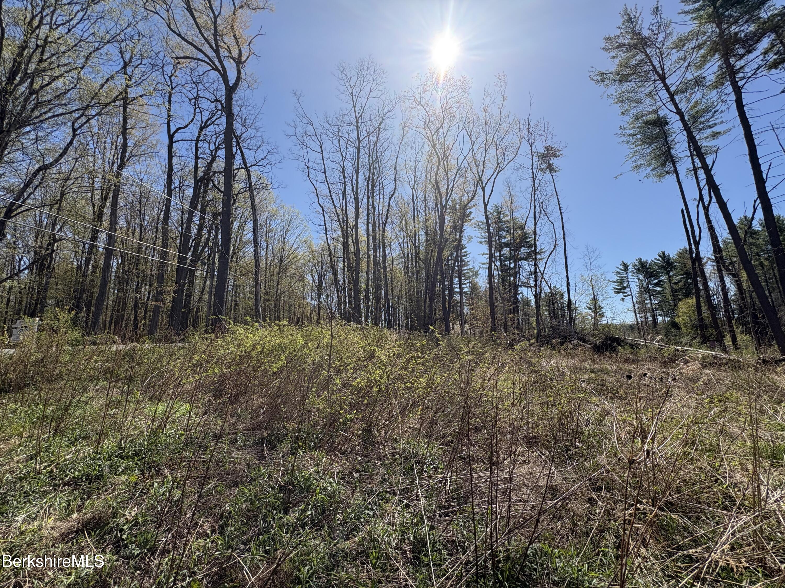 117 Lime Kiln Rd