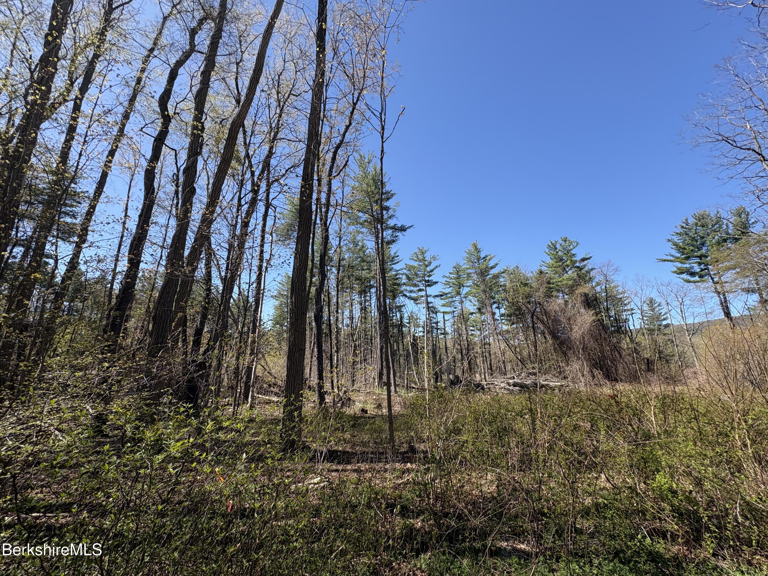 117 Lime Kiln Rd