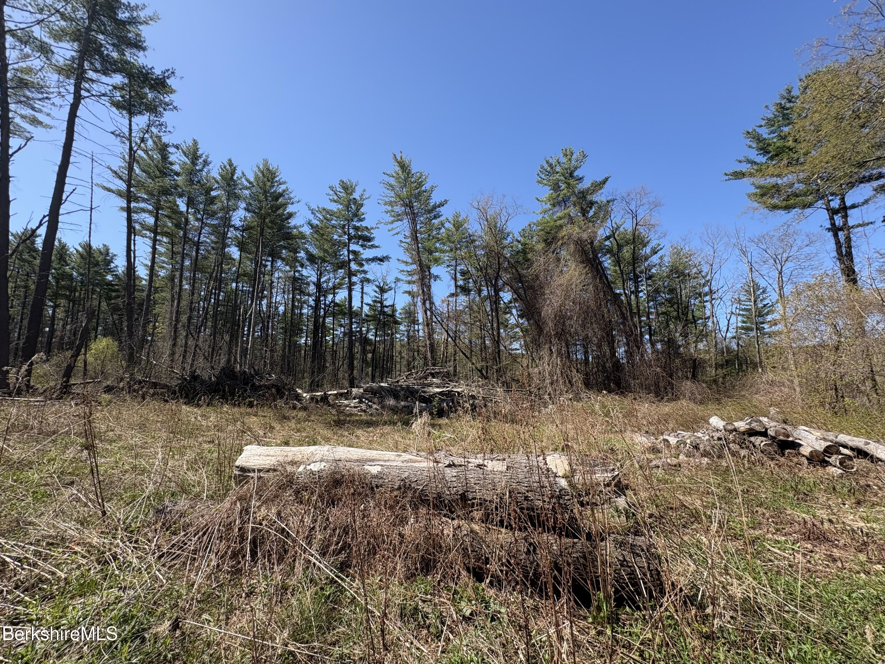 117 Lime Kiln Rd