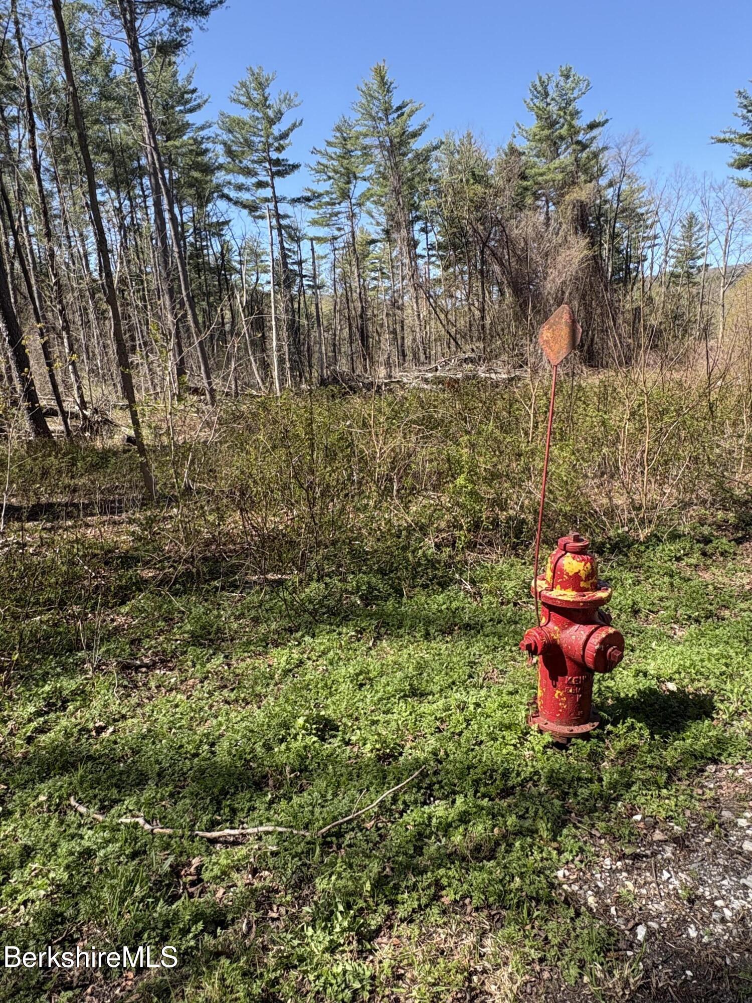 117 Lime Kiln Rd