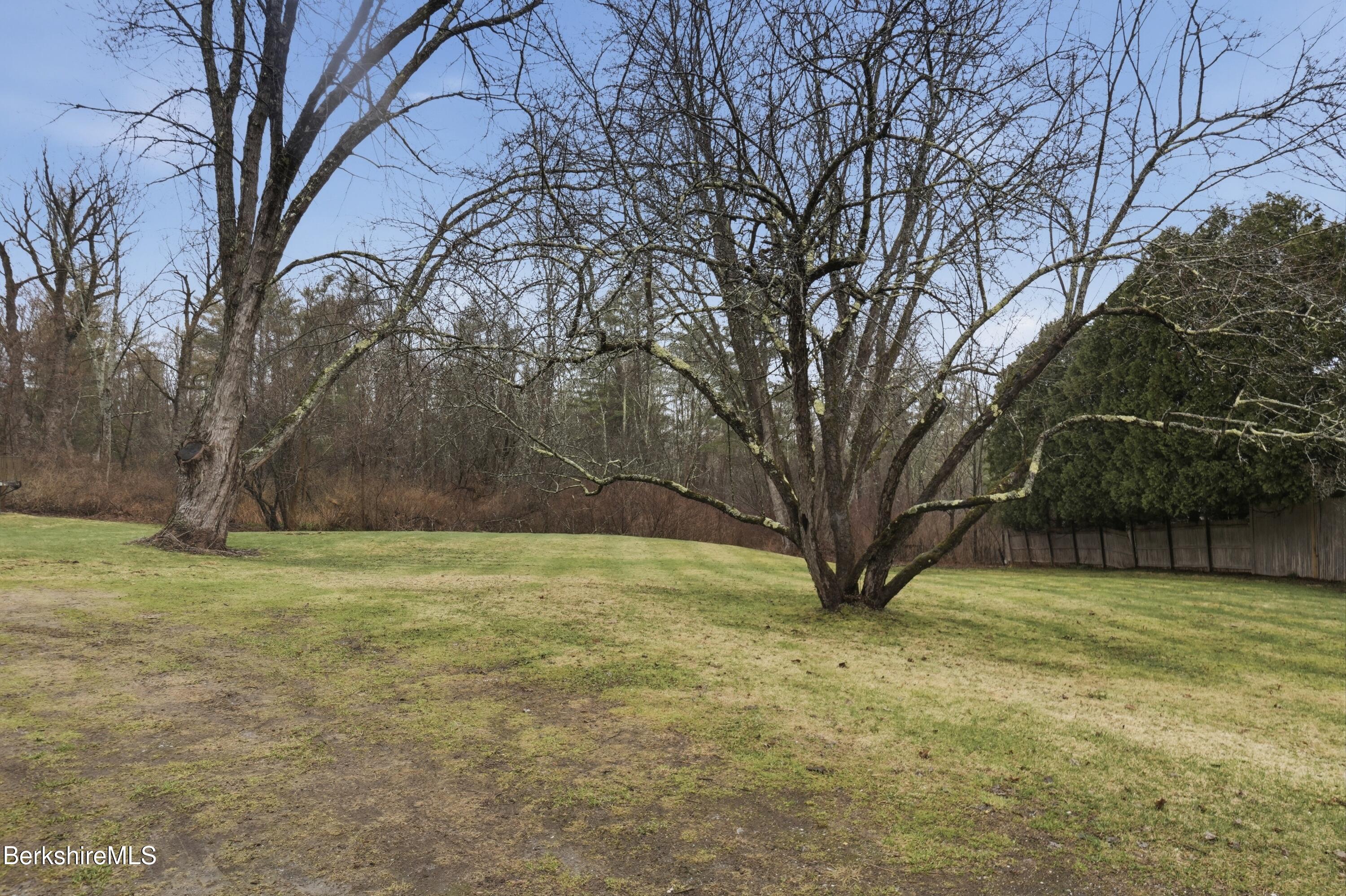 117 Norfolk Rd