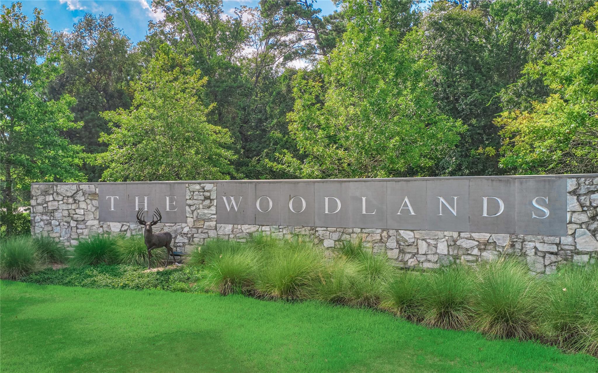 46 N Copperknoll Circle