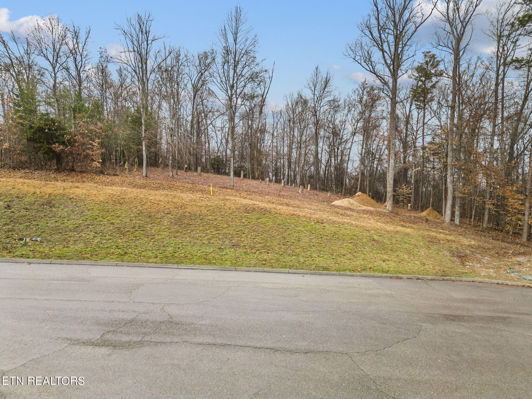 473 Laurel Ridge Lane