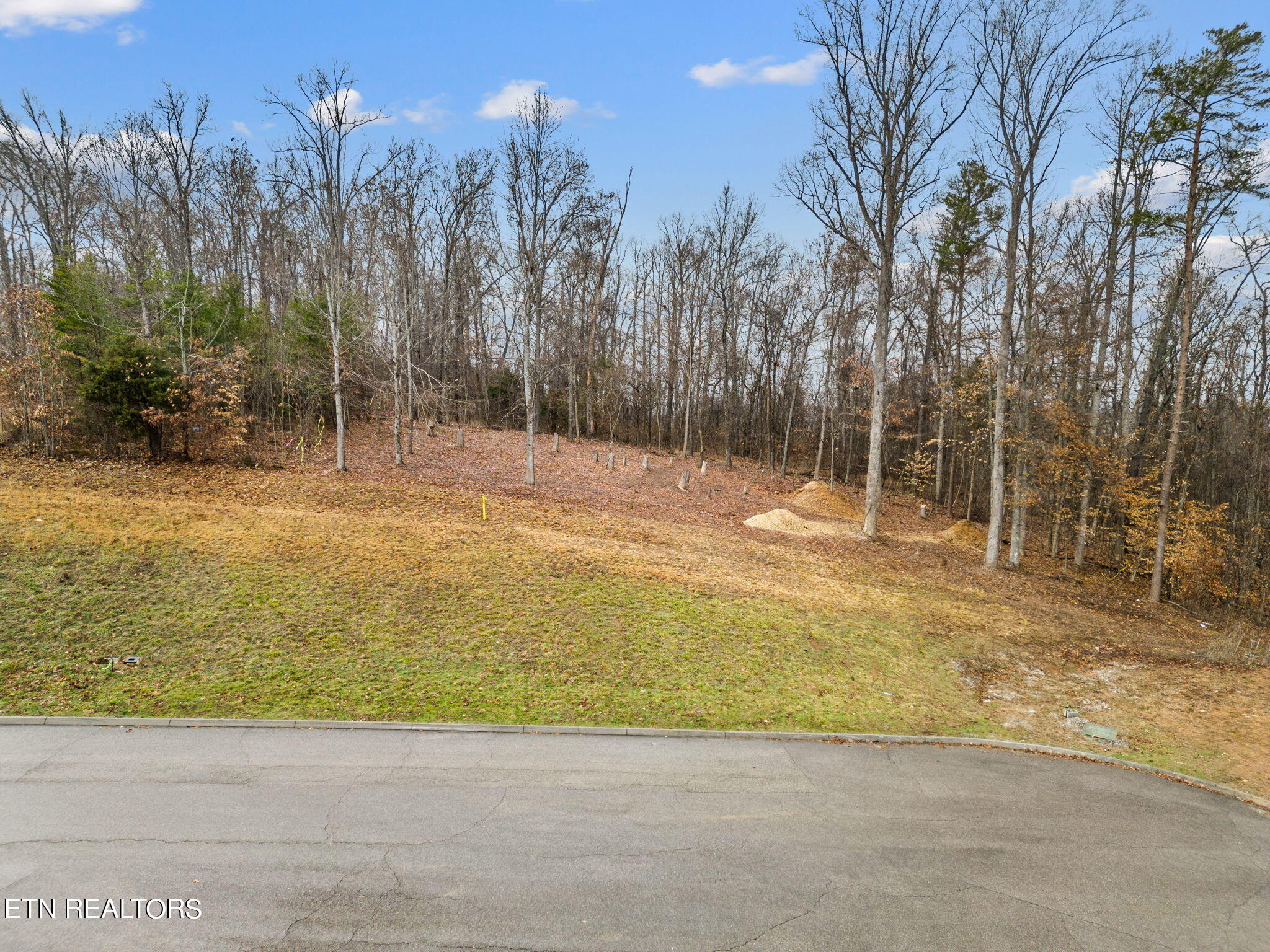 473 Laurel Ridge Lane