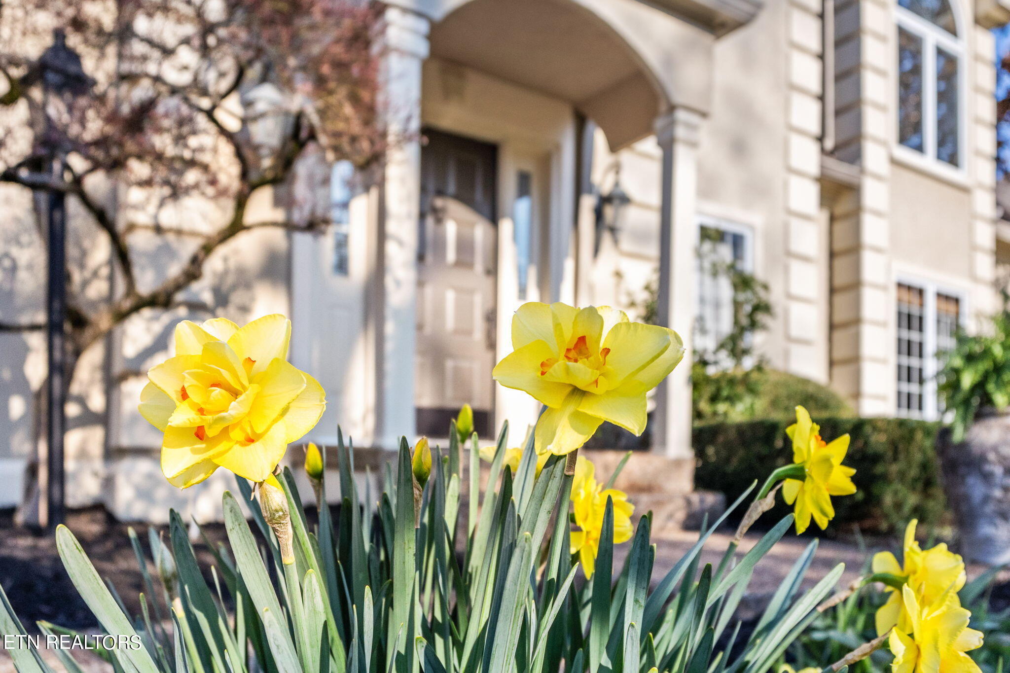 1004 Craigland Court