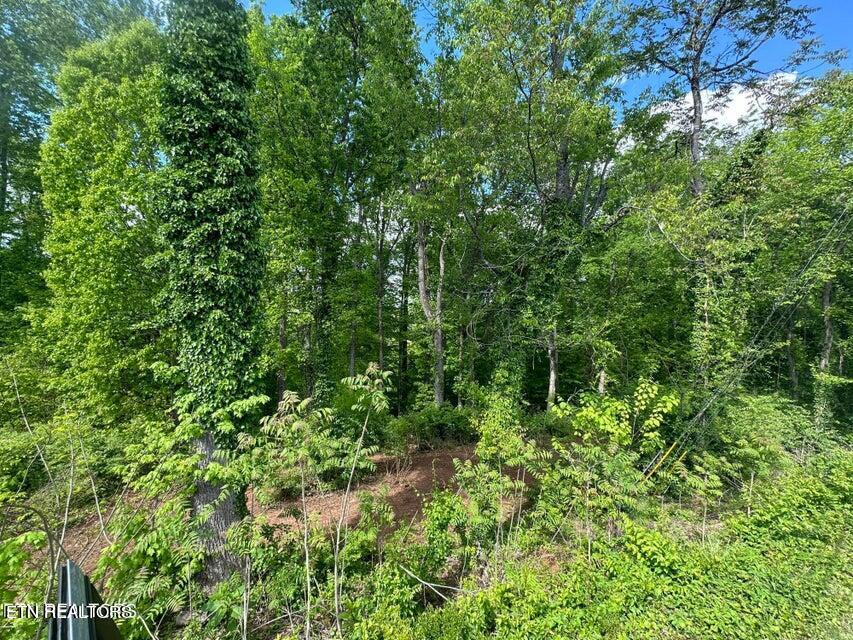 7517 7521 Twining Drive