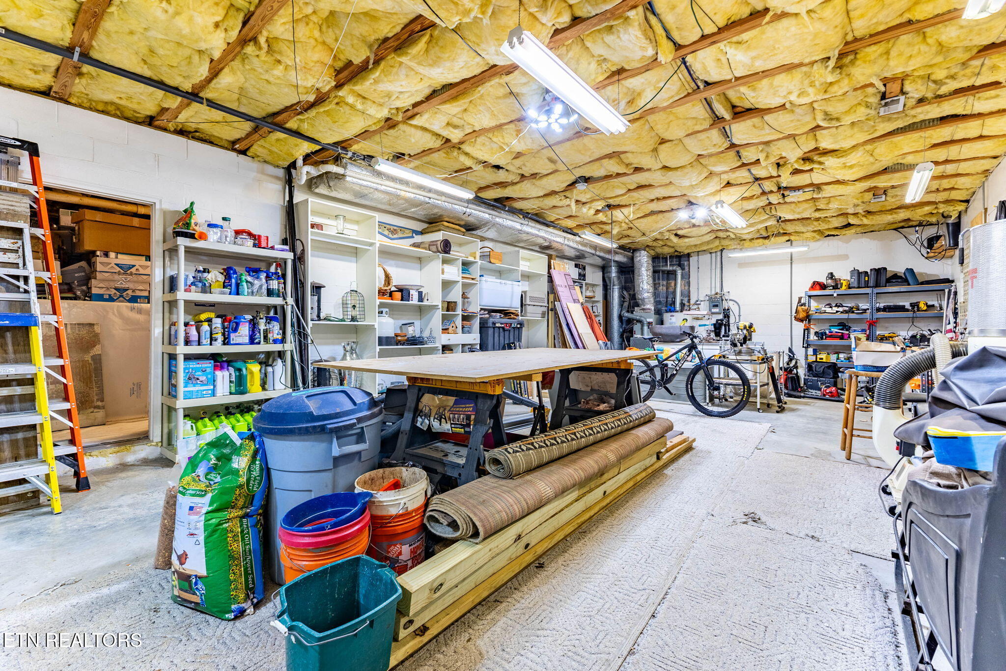 1807 Poplar Hill Rd, Knoxville