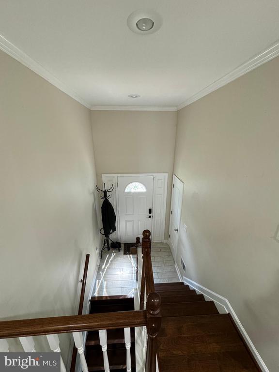 242 11TH STREET