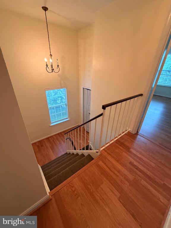 8818 RIDGE HOLLOW COURT