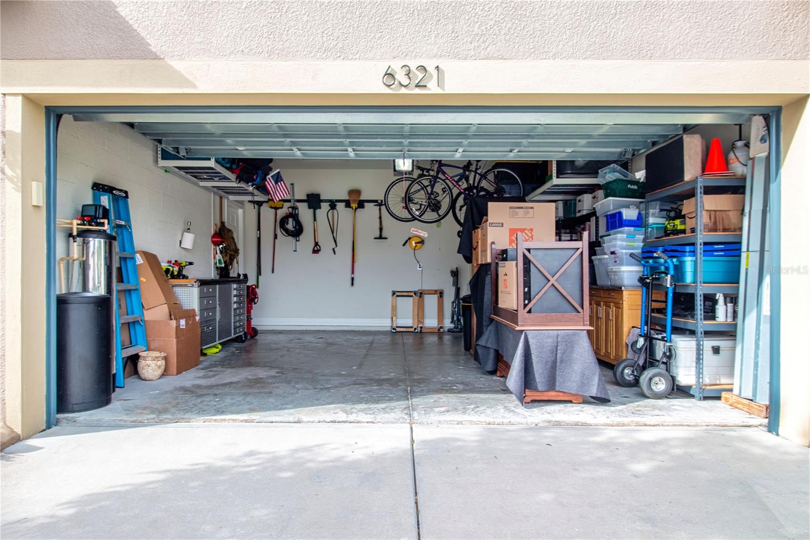 6321 YELLOW BUCKEYE DR