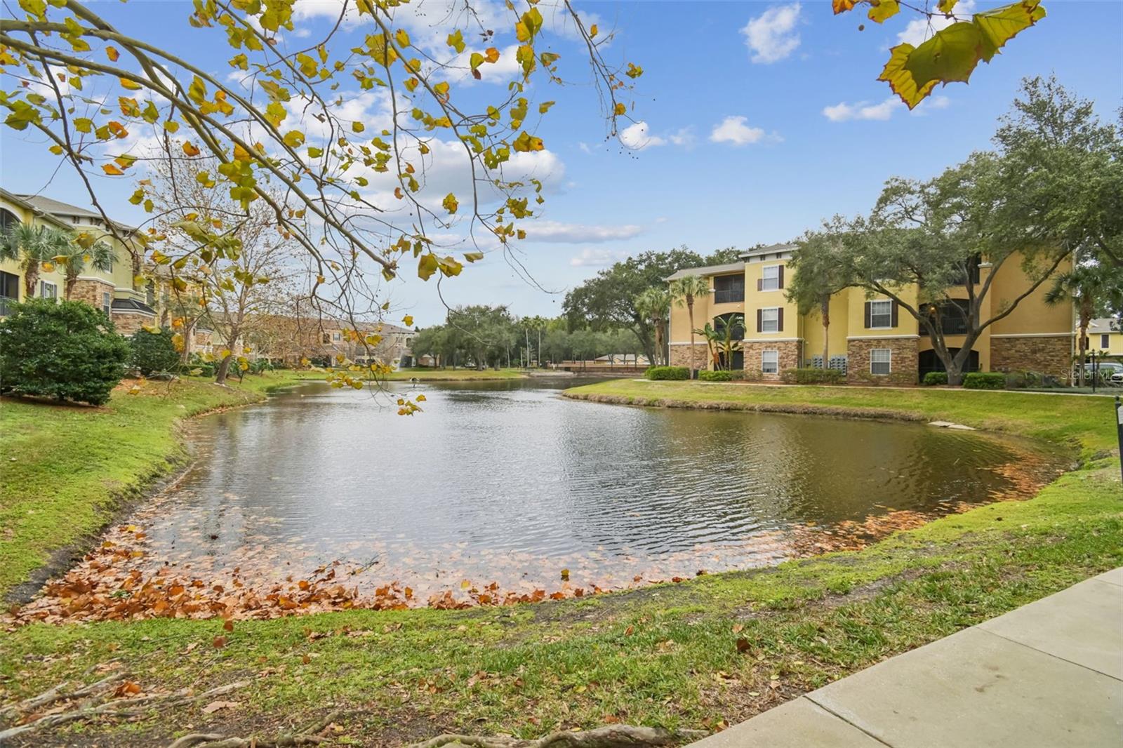 10209 COURTNEY PALMS BLVD #101