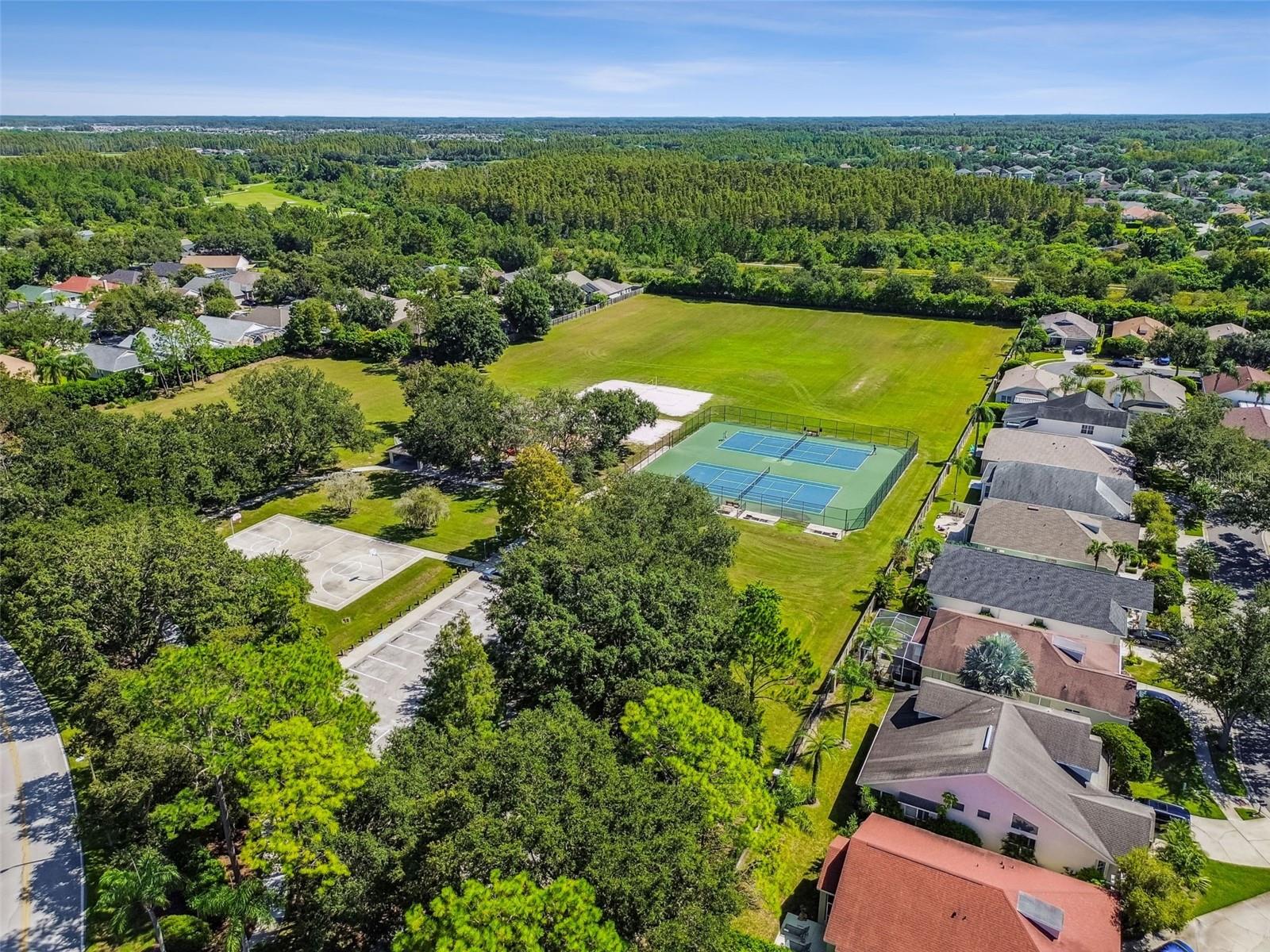 19427 MORDEN BLUSH DR