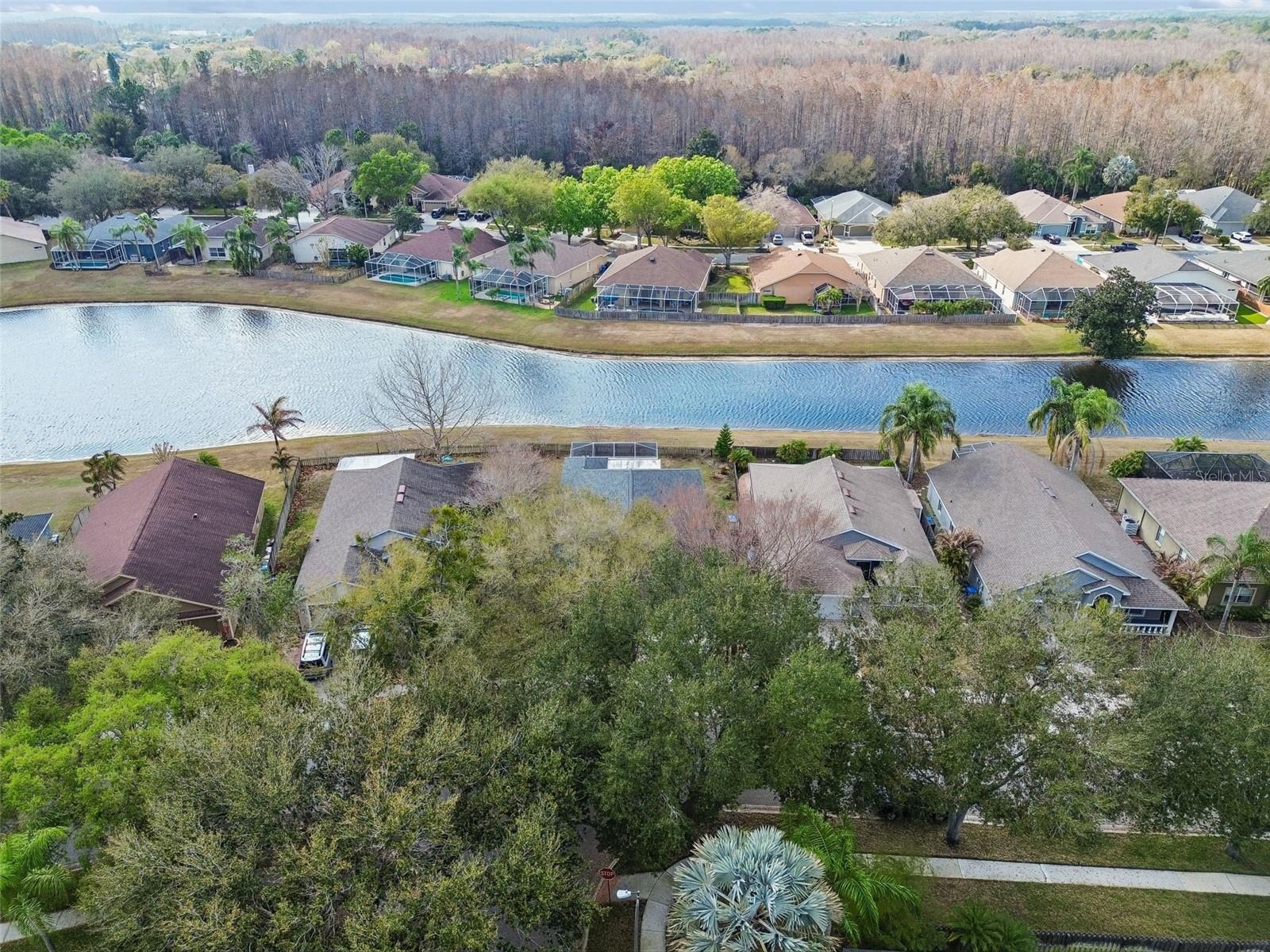 19427 MORDEN BLUSH DR