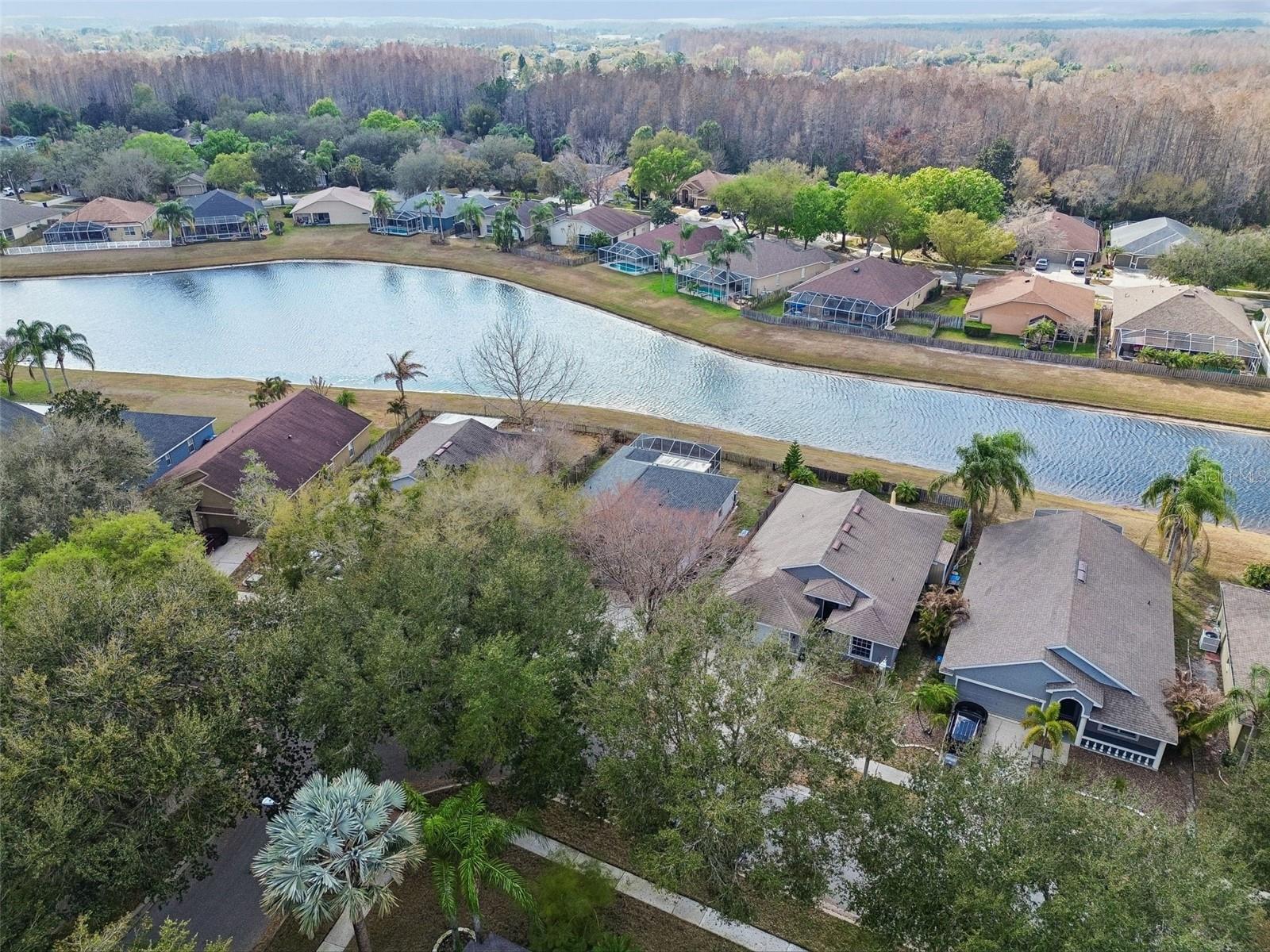 19427 MORDEN BLUSH DR