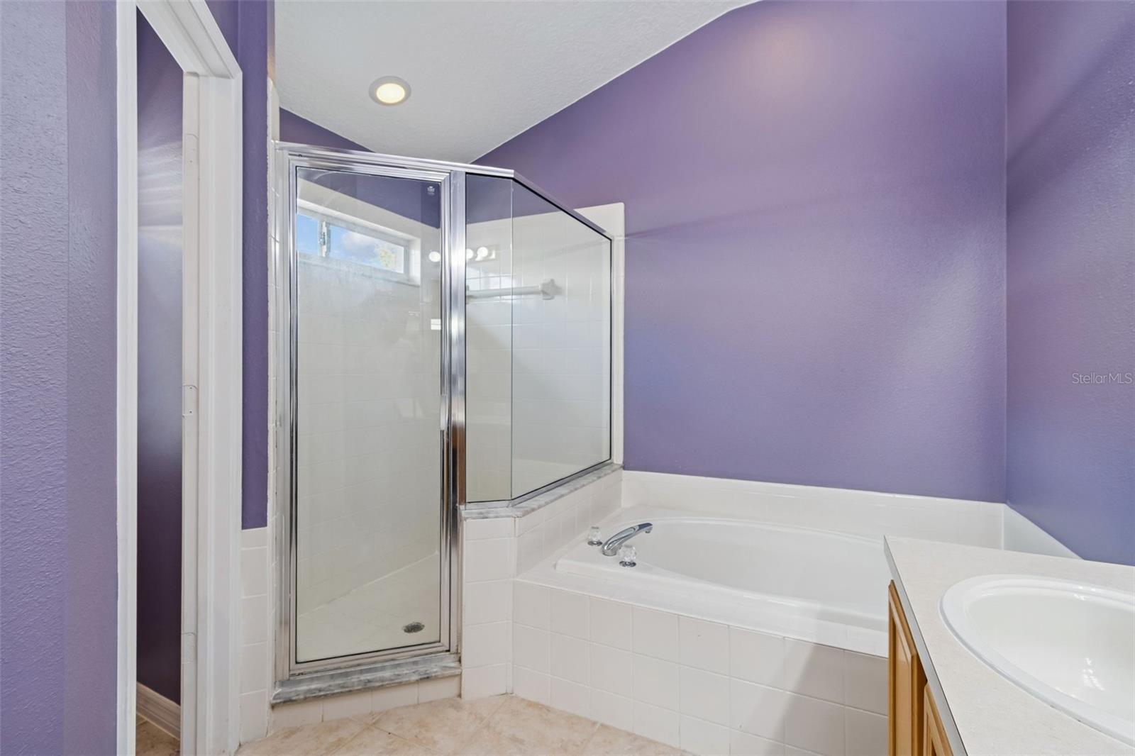 19427 MORDEN BLUSH DR