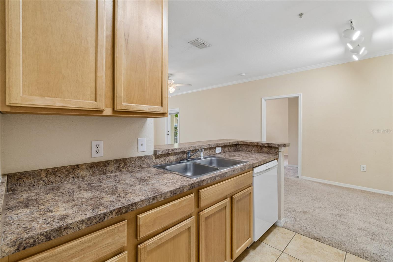 10203 COURTNEY PALMS BLVD #103