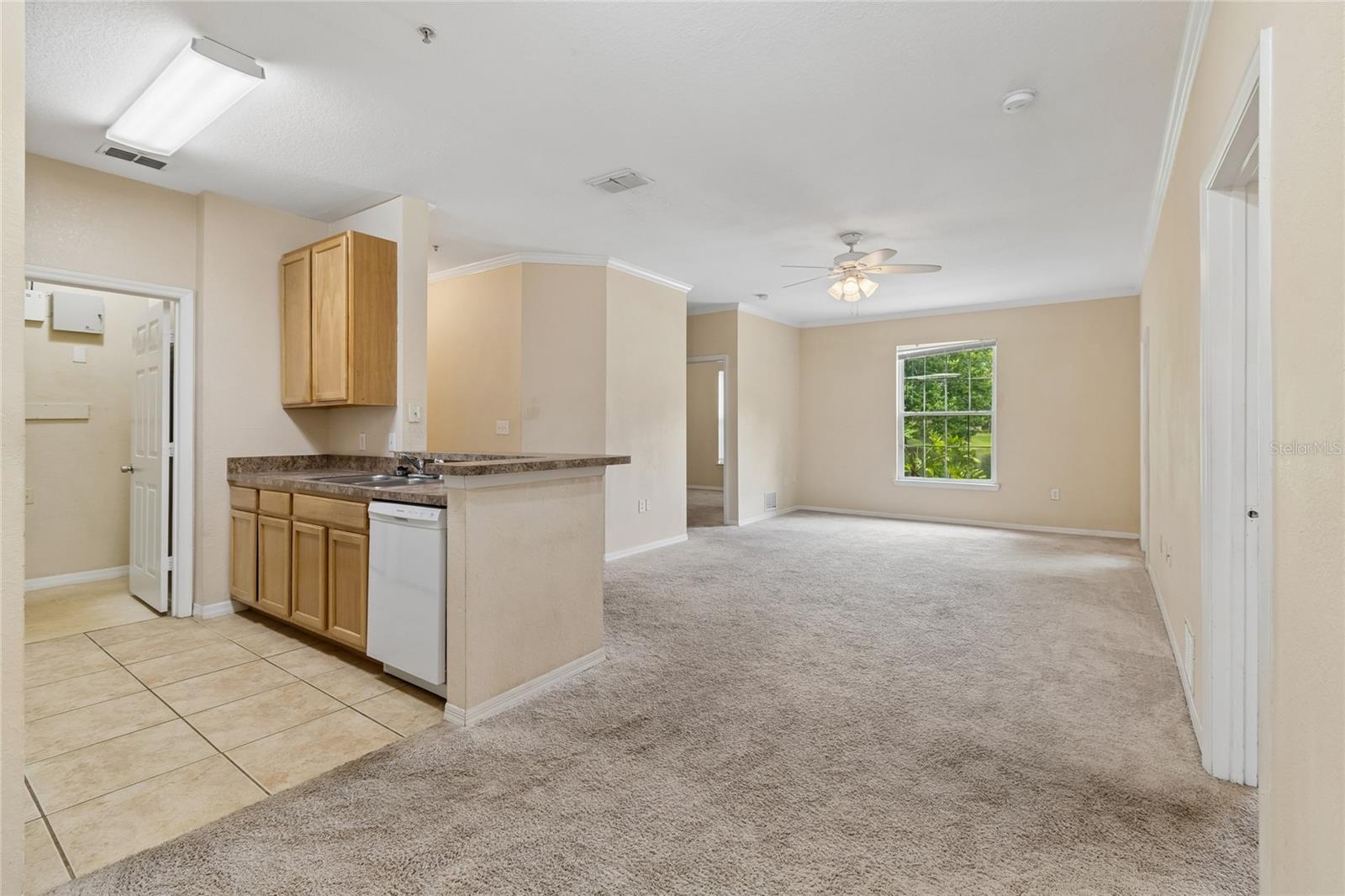 10203 COURTNEY PALMS BLVD #103