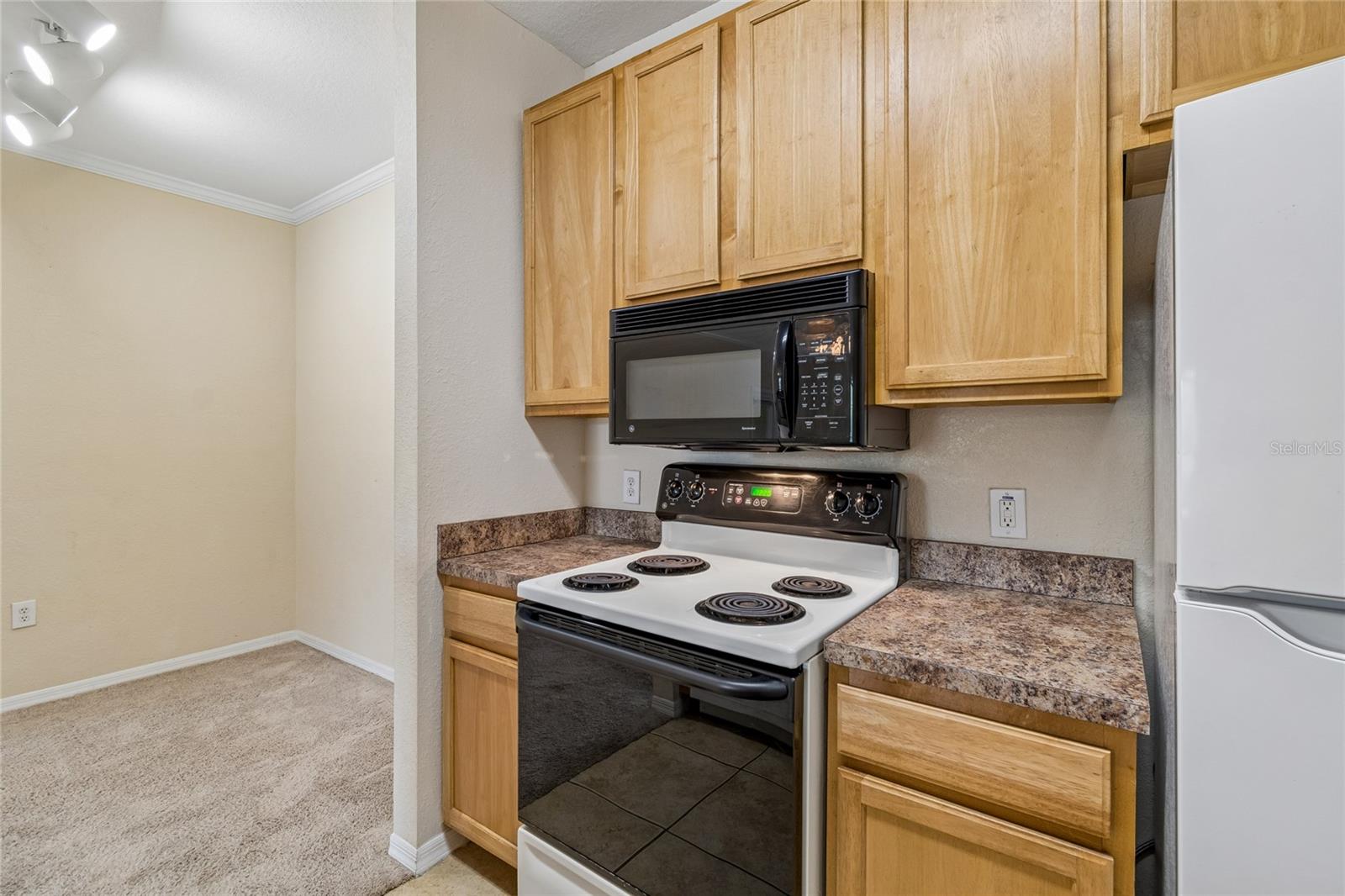 10203 COURTNEY PALMS BLVD #103