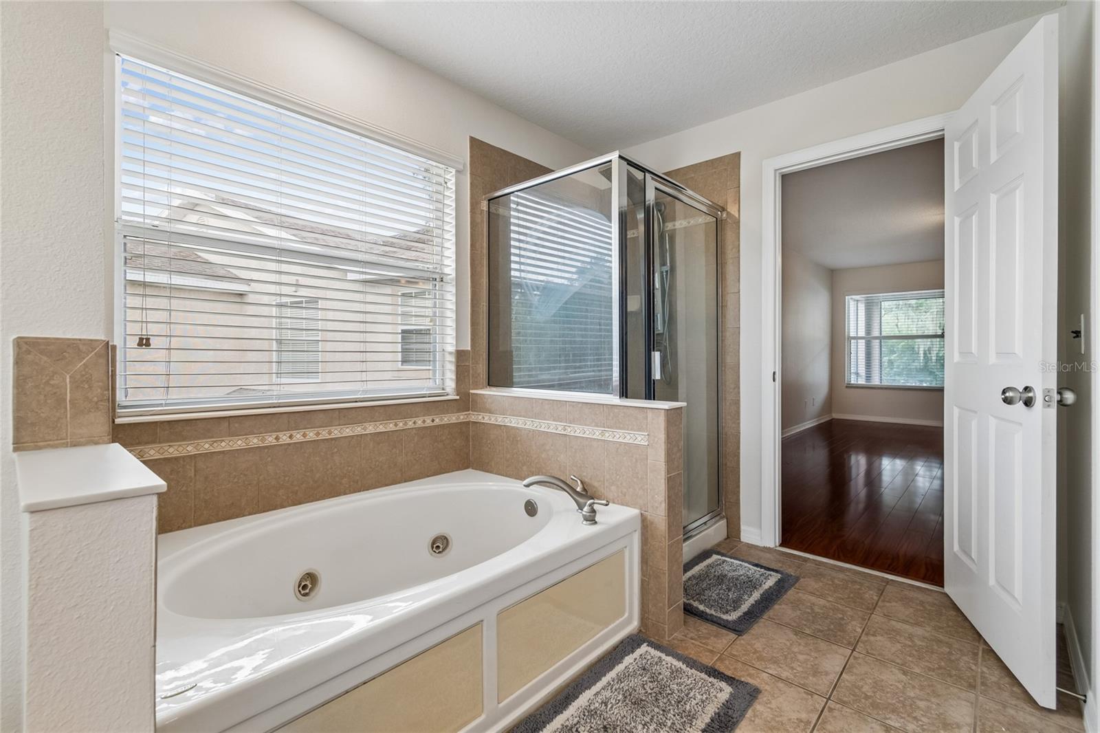 11232 CREEK HAVEN DR