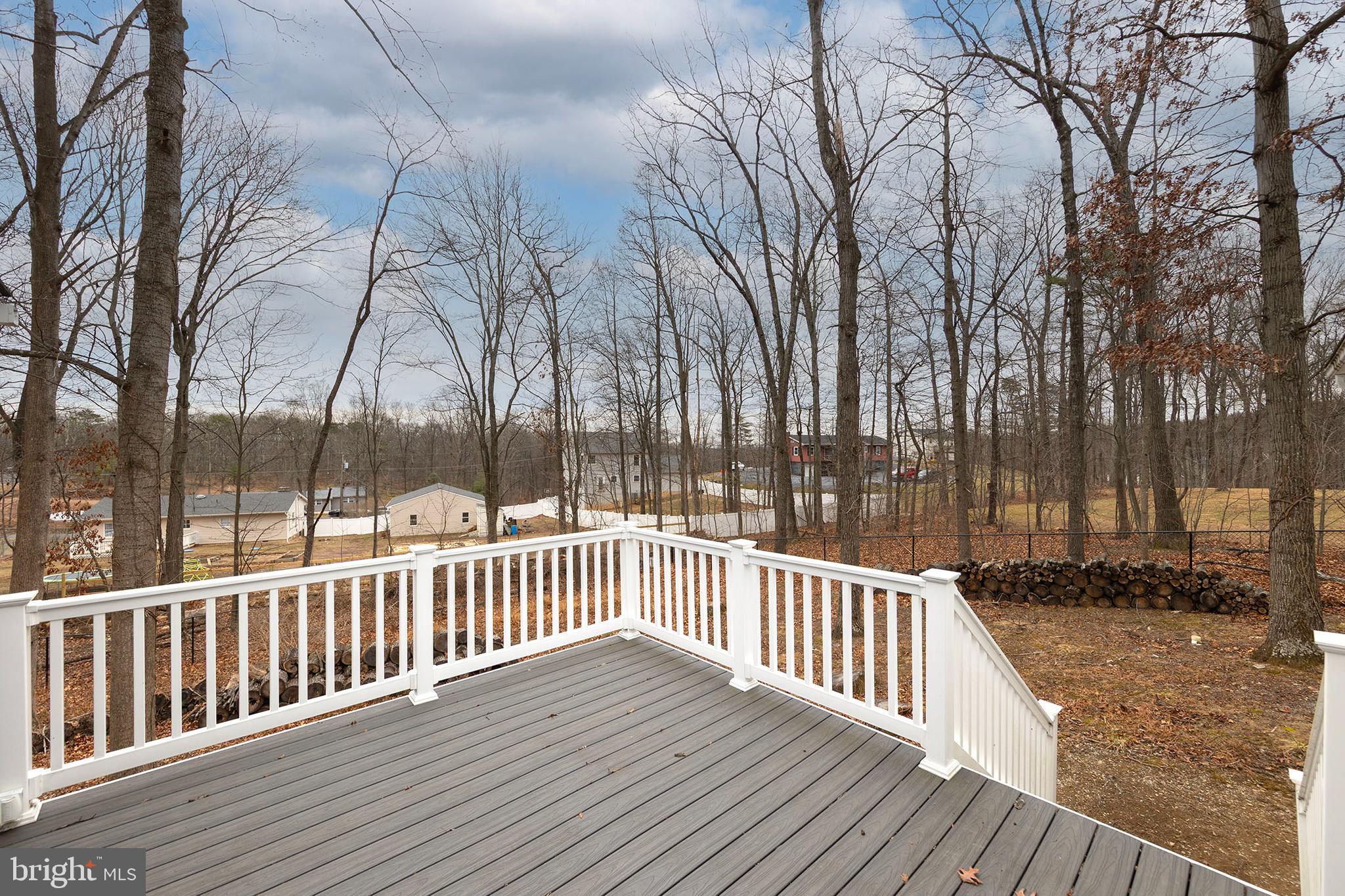 113 KILLBUCK TRAIL