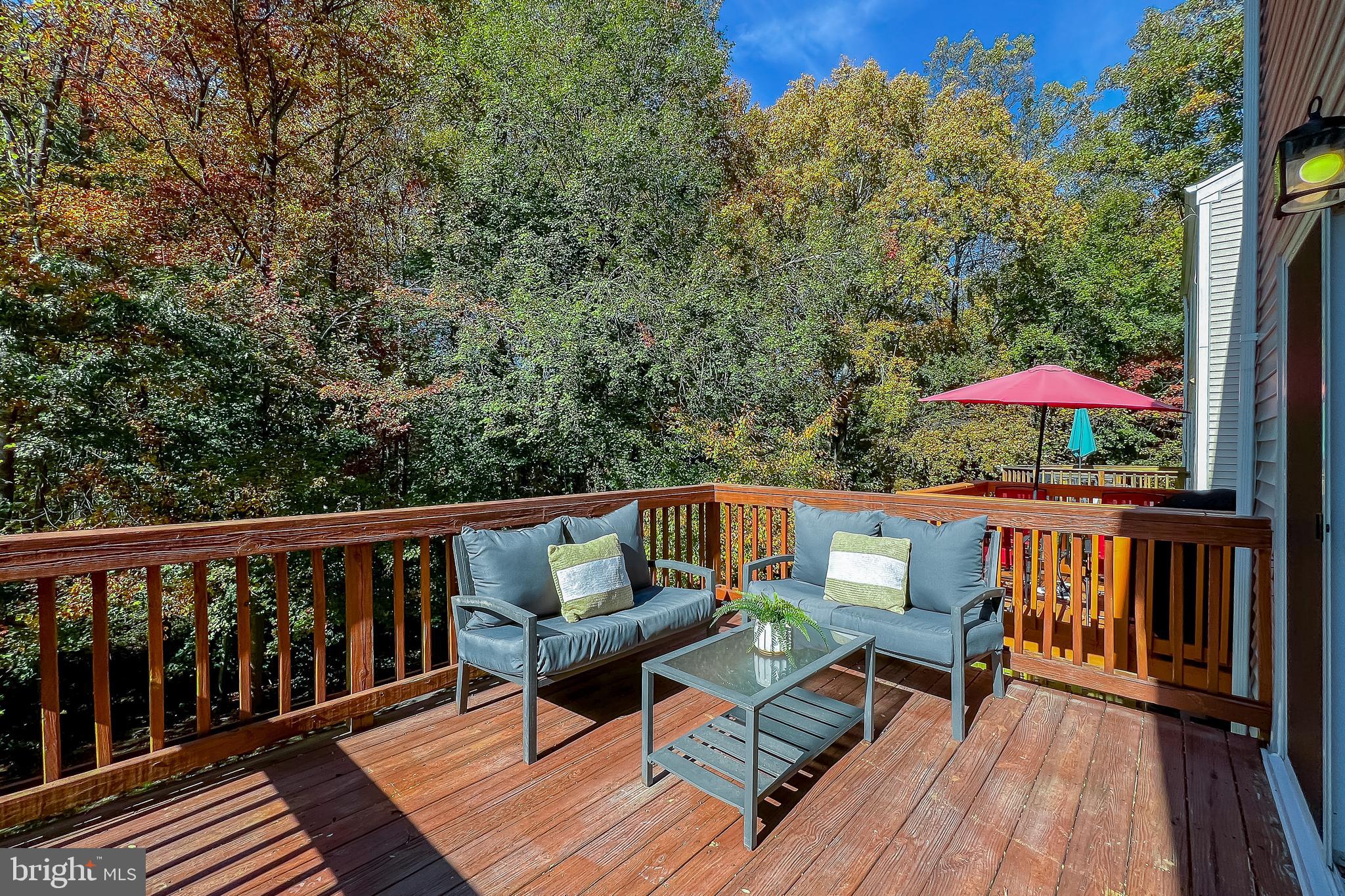 10182 Sassafras Woods Ct