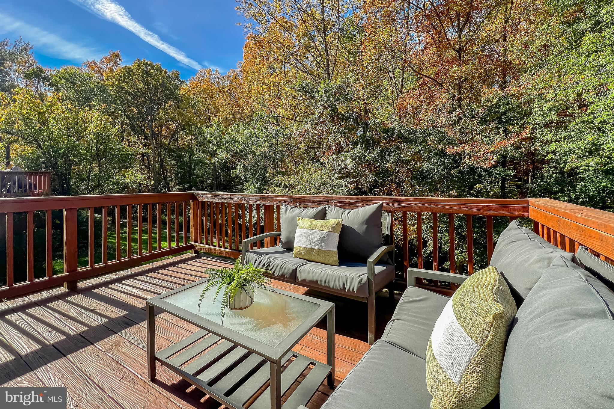 10182 Sassafras Woods Ct