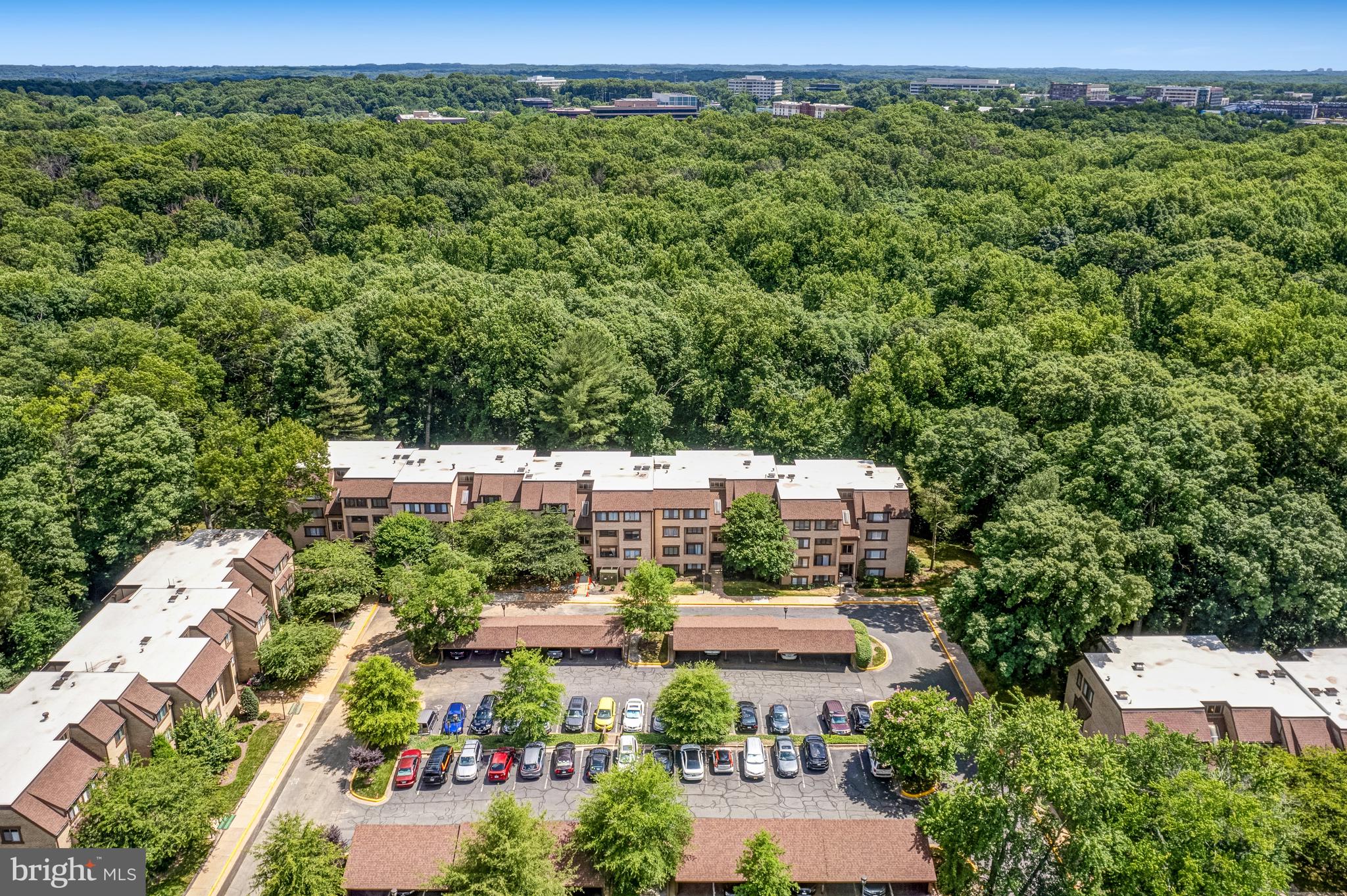 1669 Parkcrest #300