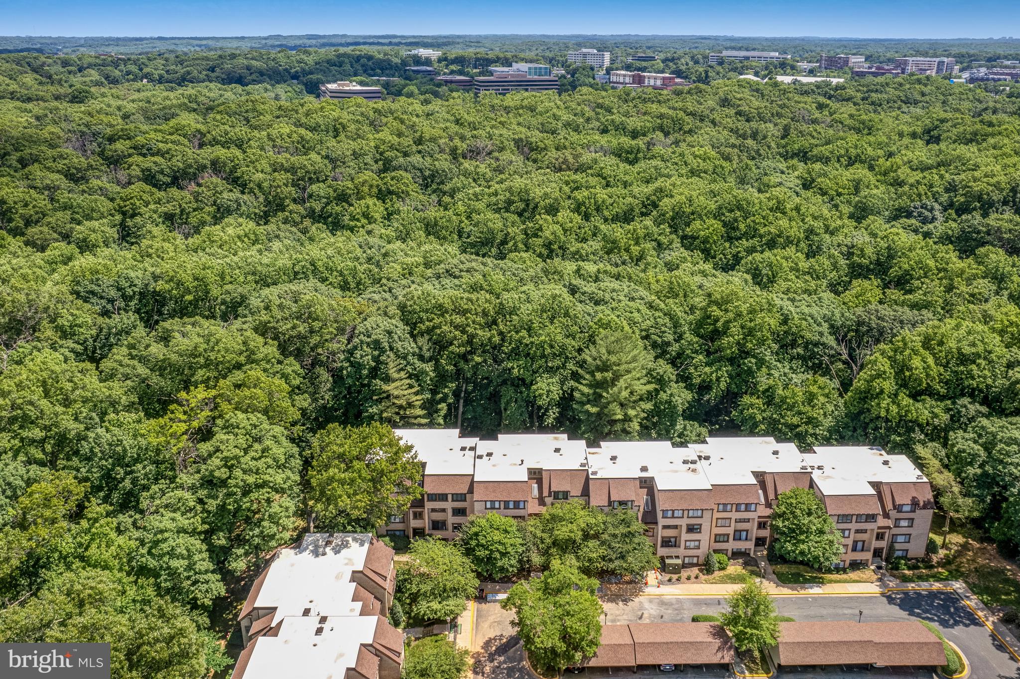 1669 Parkcrest #300