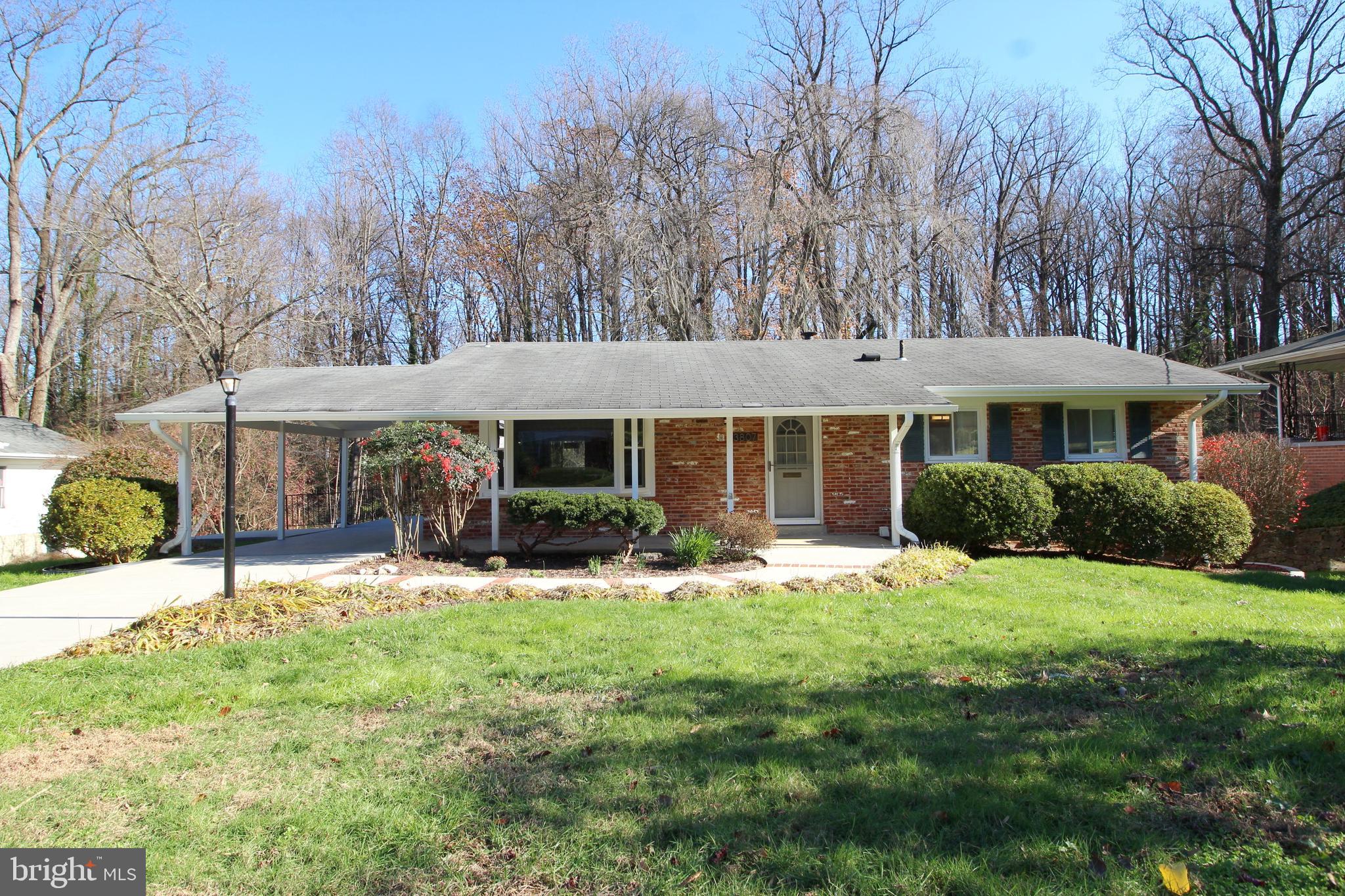 3807 IVYDALE DR