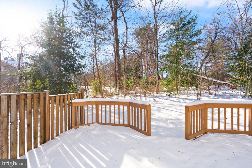 1443 Newport Spring Ct