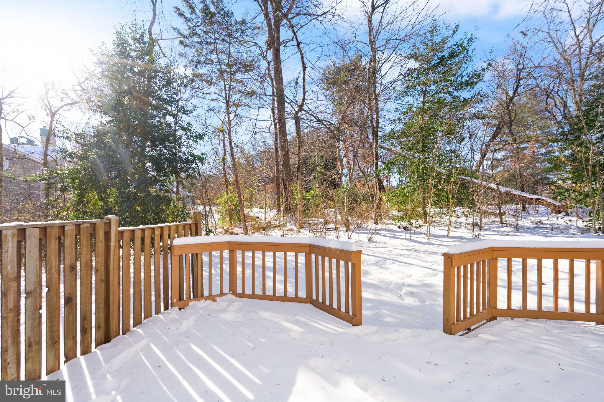 1443 Newport Spring Ct