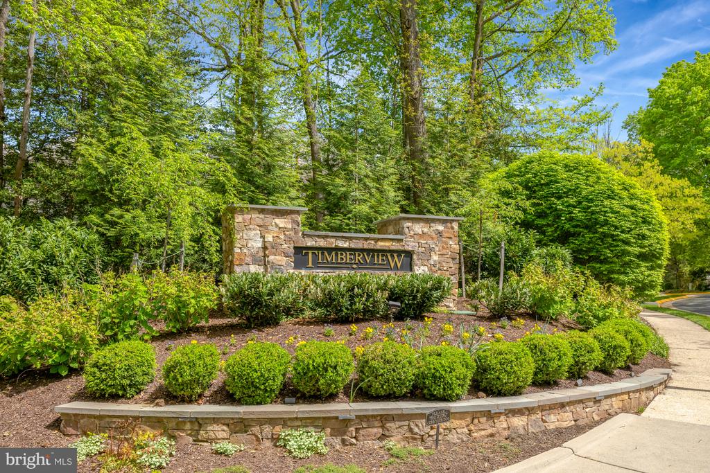 11431 Hollow Timber Way