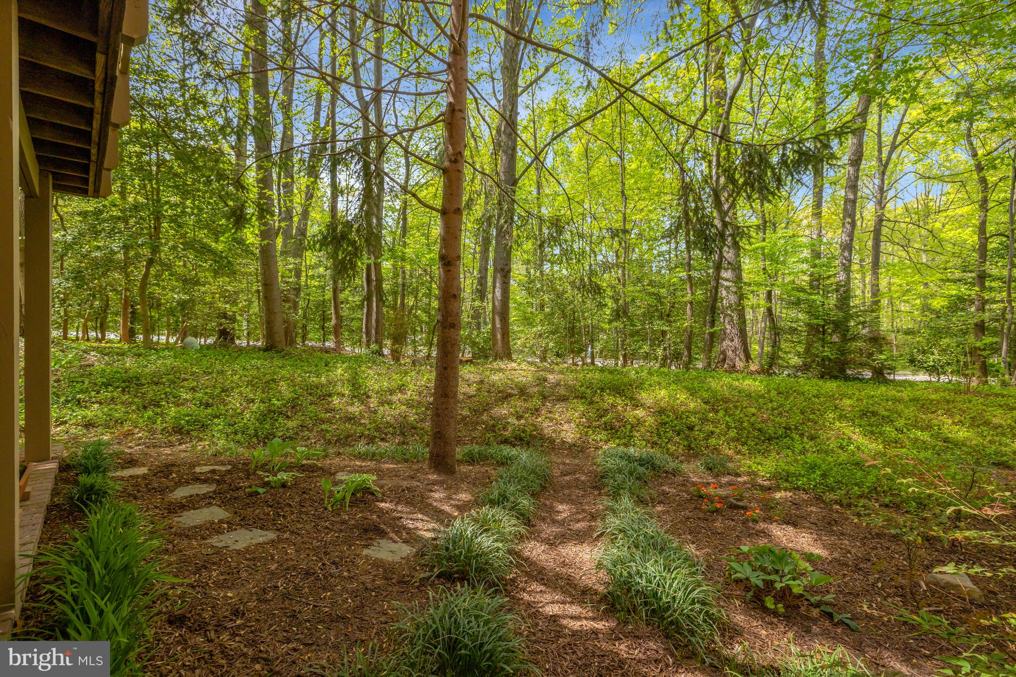 11431 Hollow Timber Way