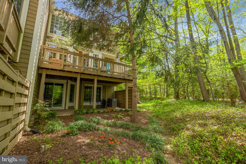 11431 Hollow Timber Way