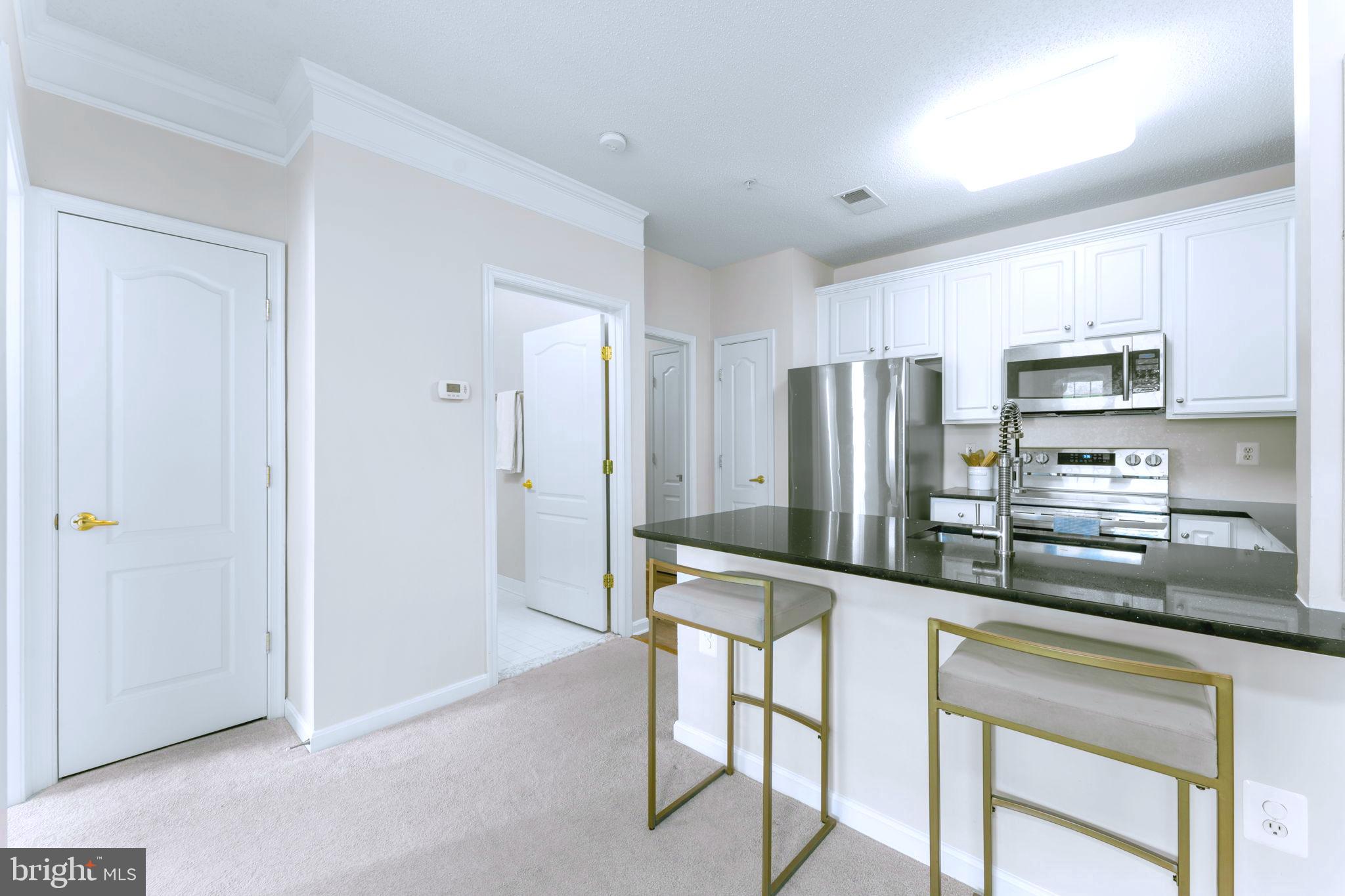 12170 Abington Hall Pl #201