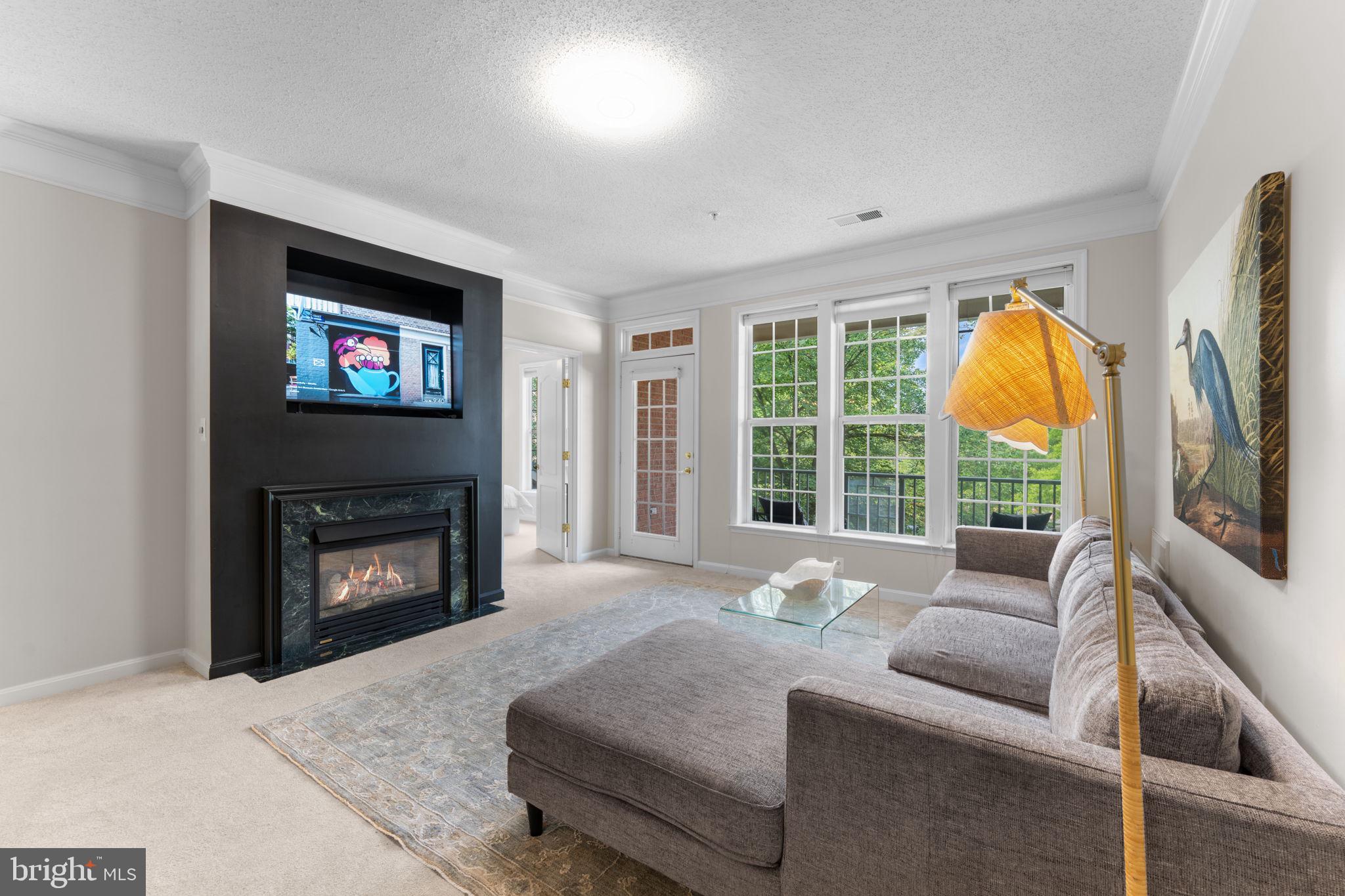 12170 Abington Hall Pl #201