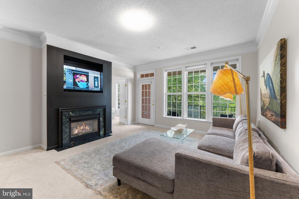 12170 Abington Hall Pl #201