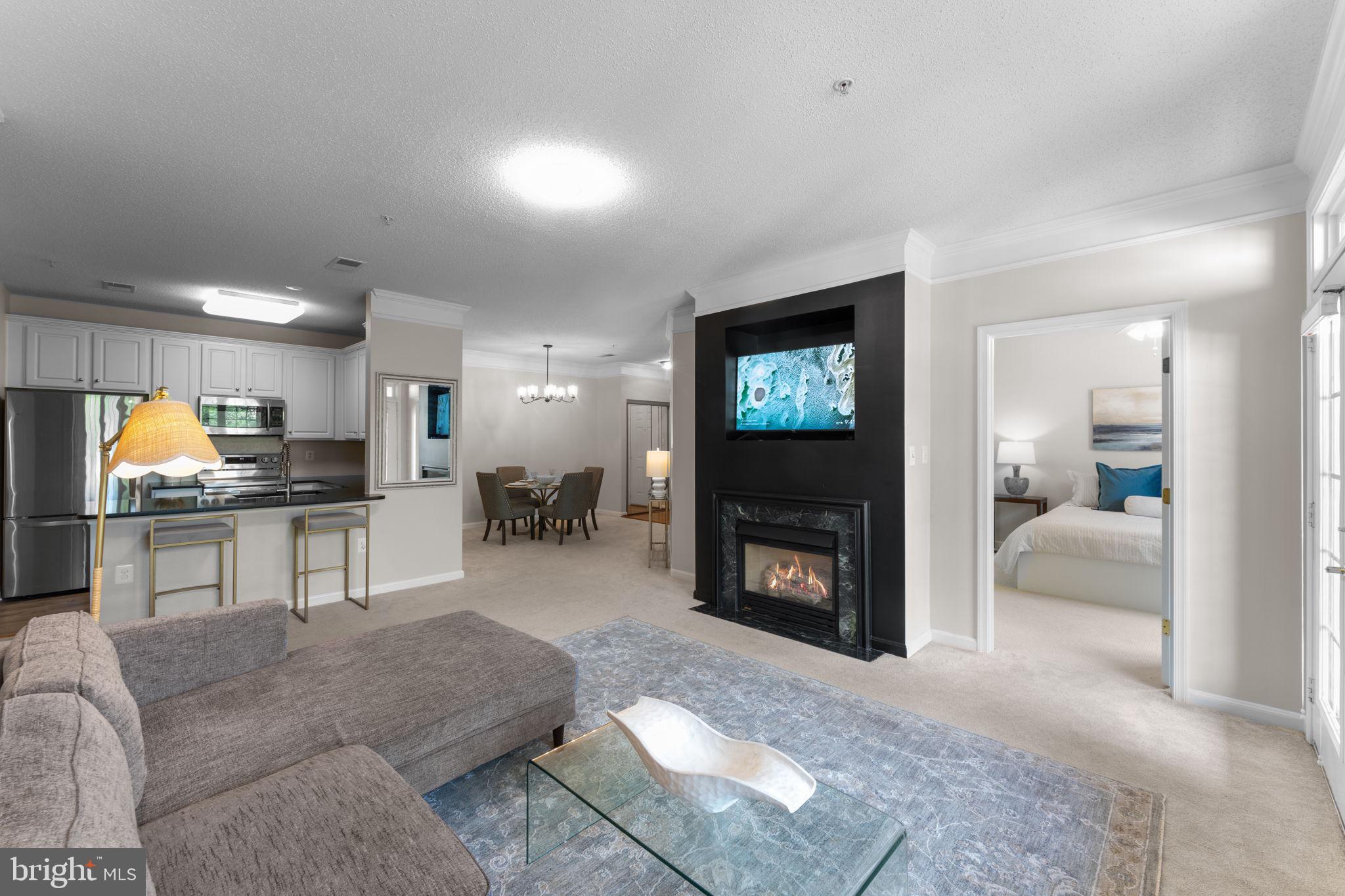 12170 Abington Hall Pl #201