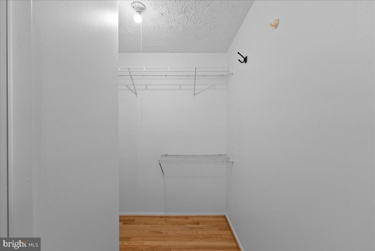 11537 IVY BUSH COURT