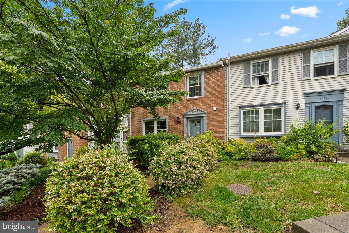 11537 IVY BUSH COURT