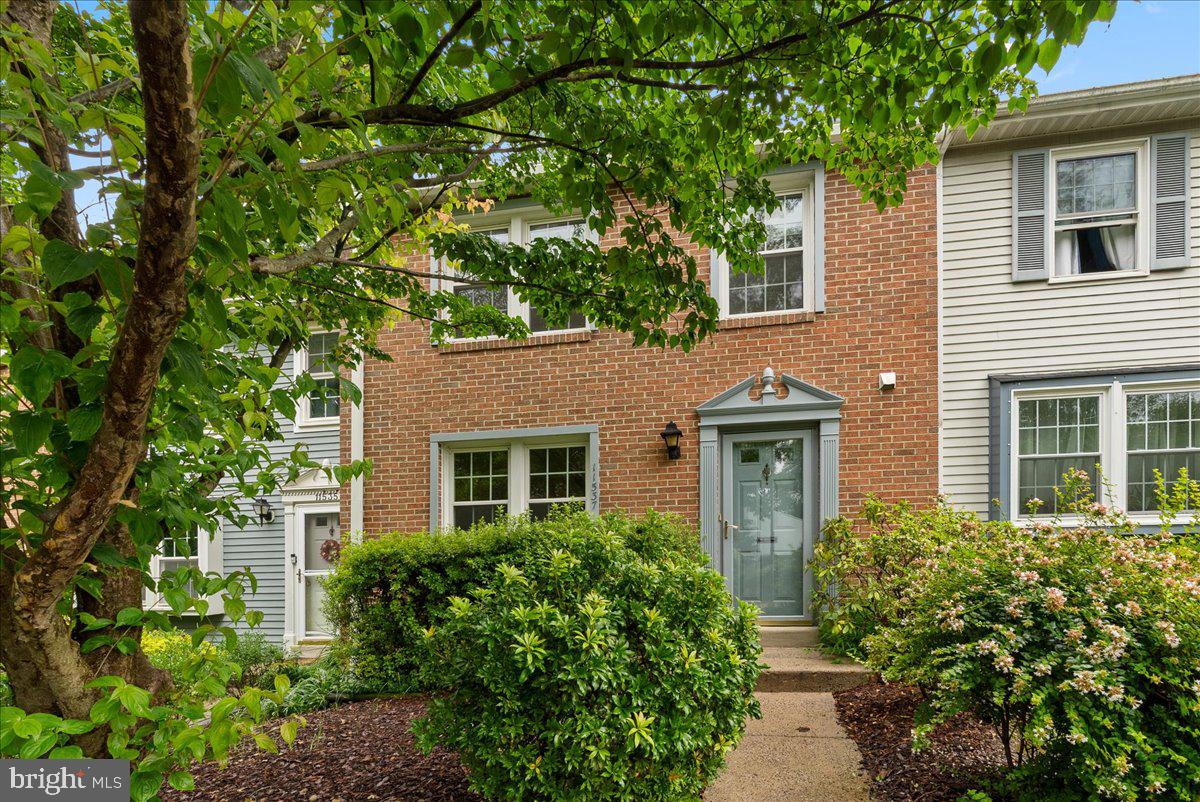 11537 IVY BUSH COURT