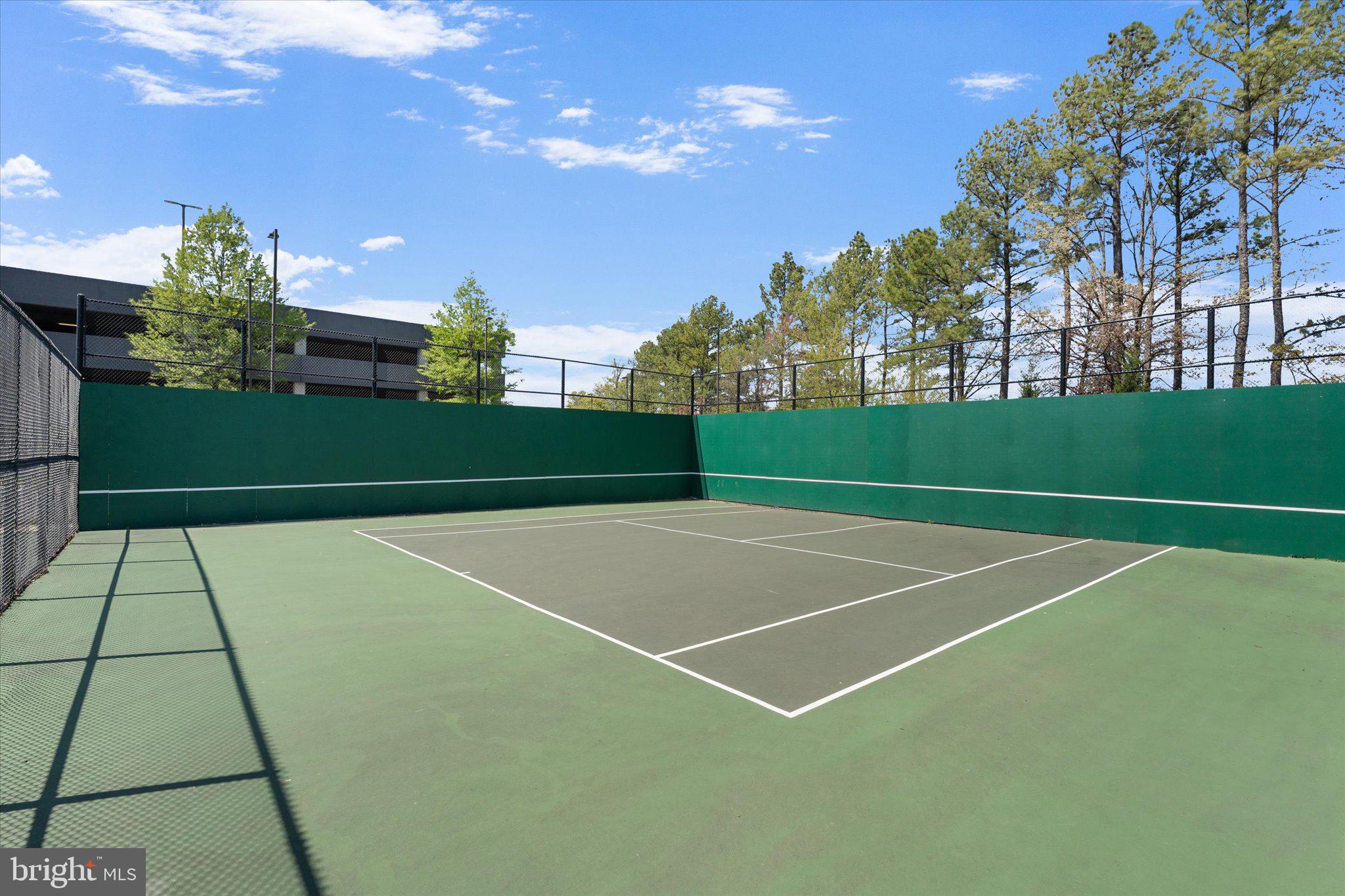 12915 SUNRISE RIDGE ALLEY 74
