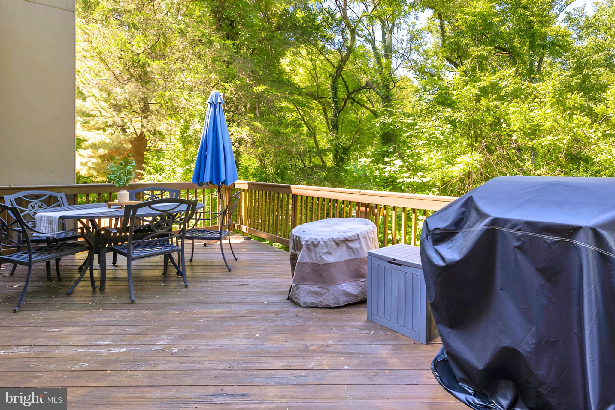 11170 FOREST EDGE DRIVE