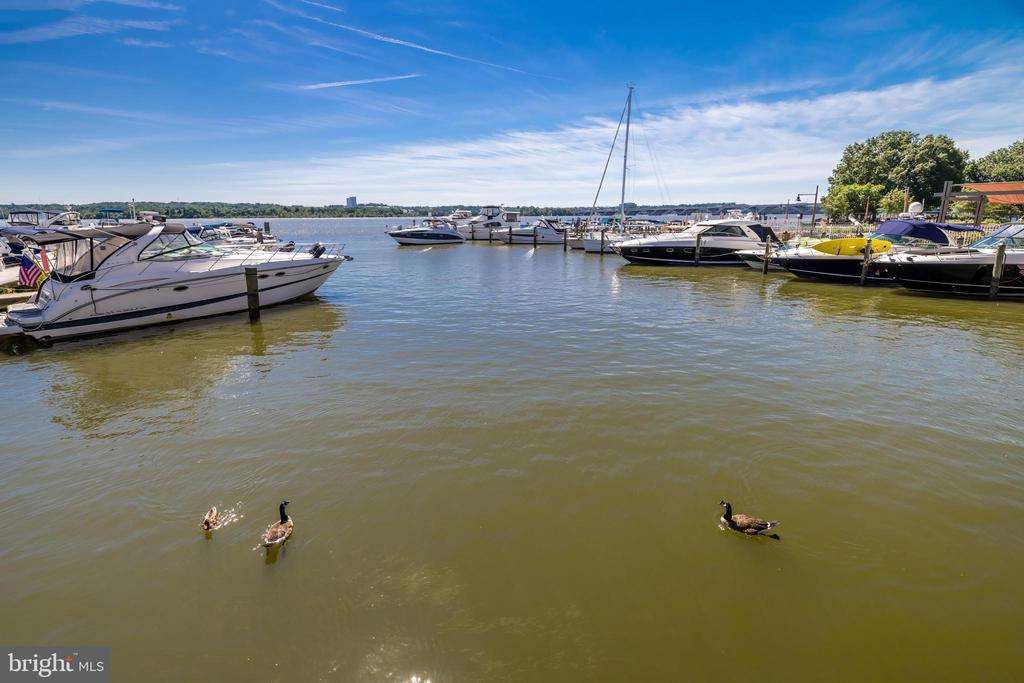 6718 W WAKEFIELD DRIVE Unit: B2