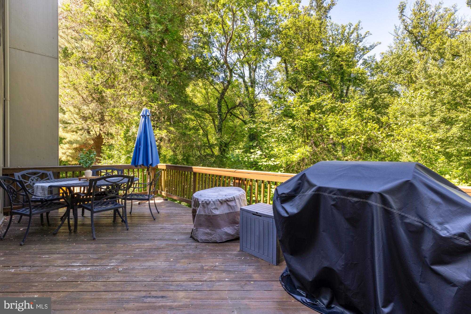 11170 FOREST EDGE DRIVE